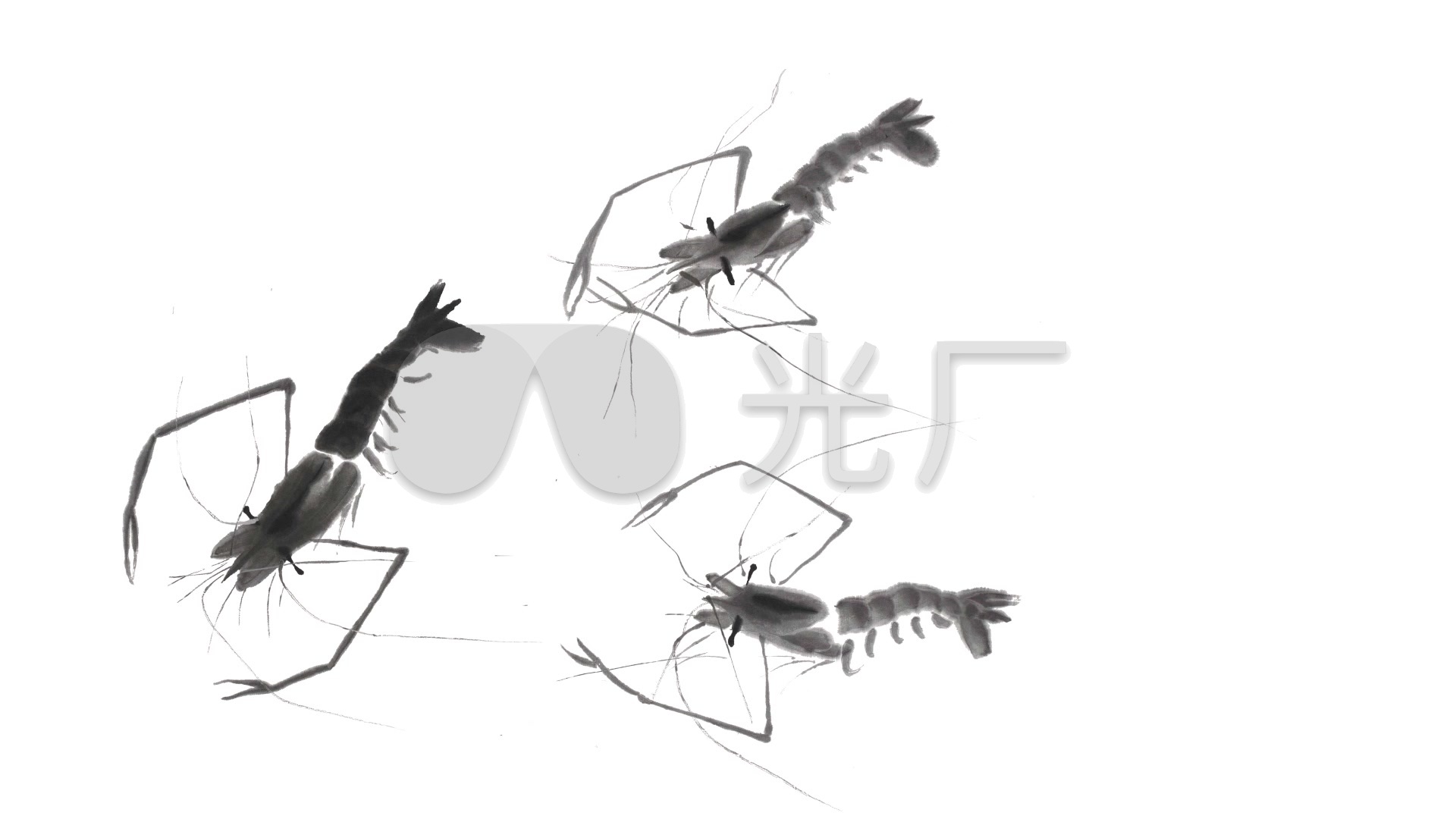 水墨虾