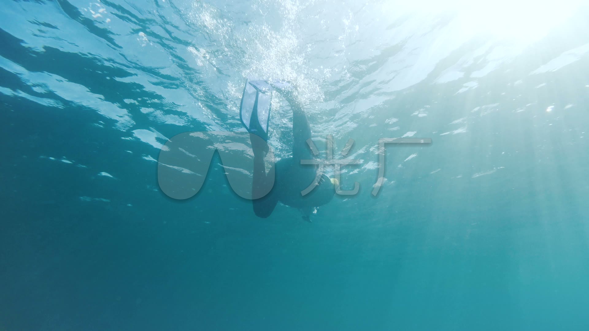 海洋潜水游泳海洋海面畅游_1920x1080_高清视频素材
