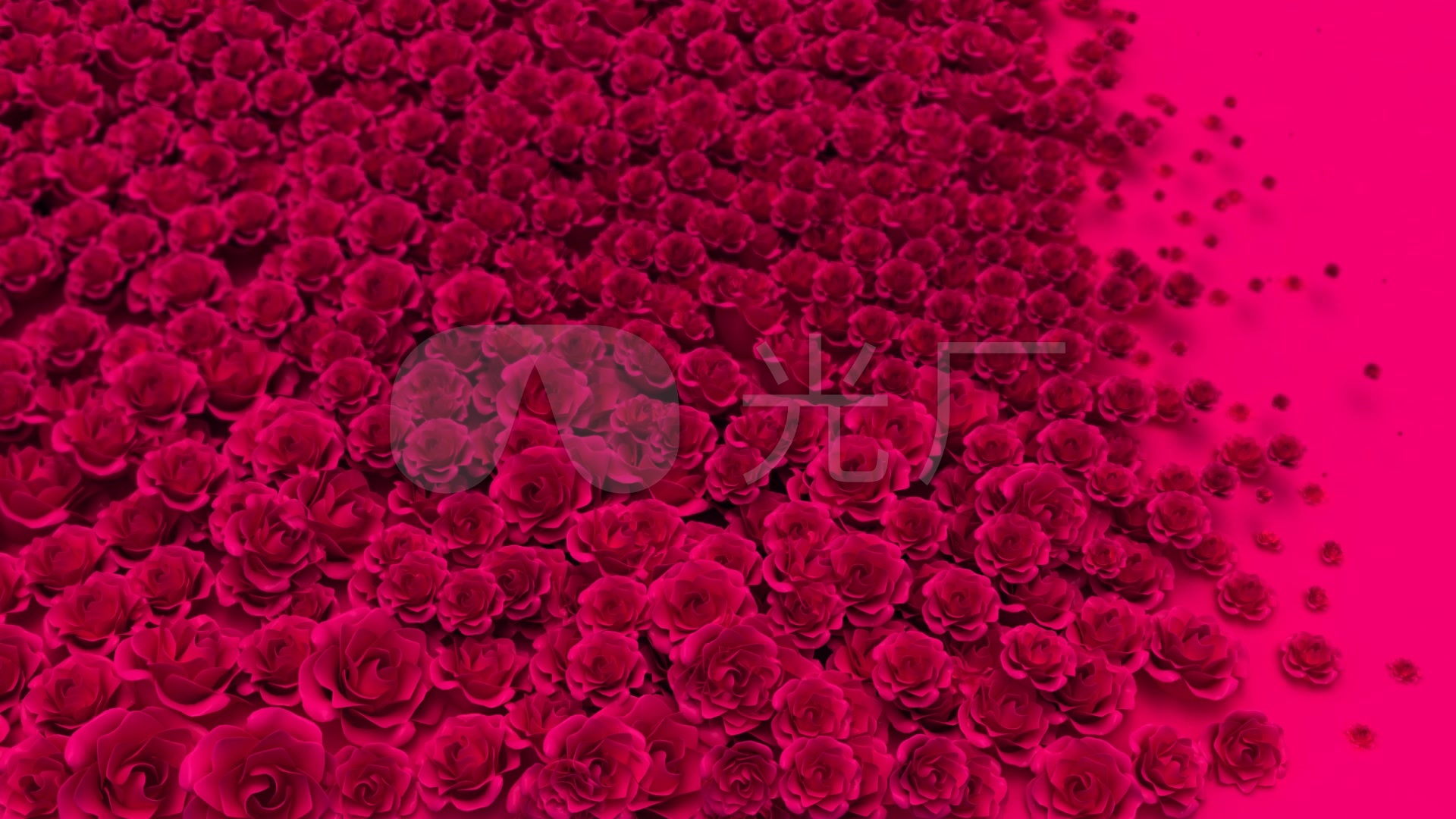 玫瑰花生长铺满浪漫三维动画动态视频