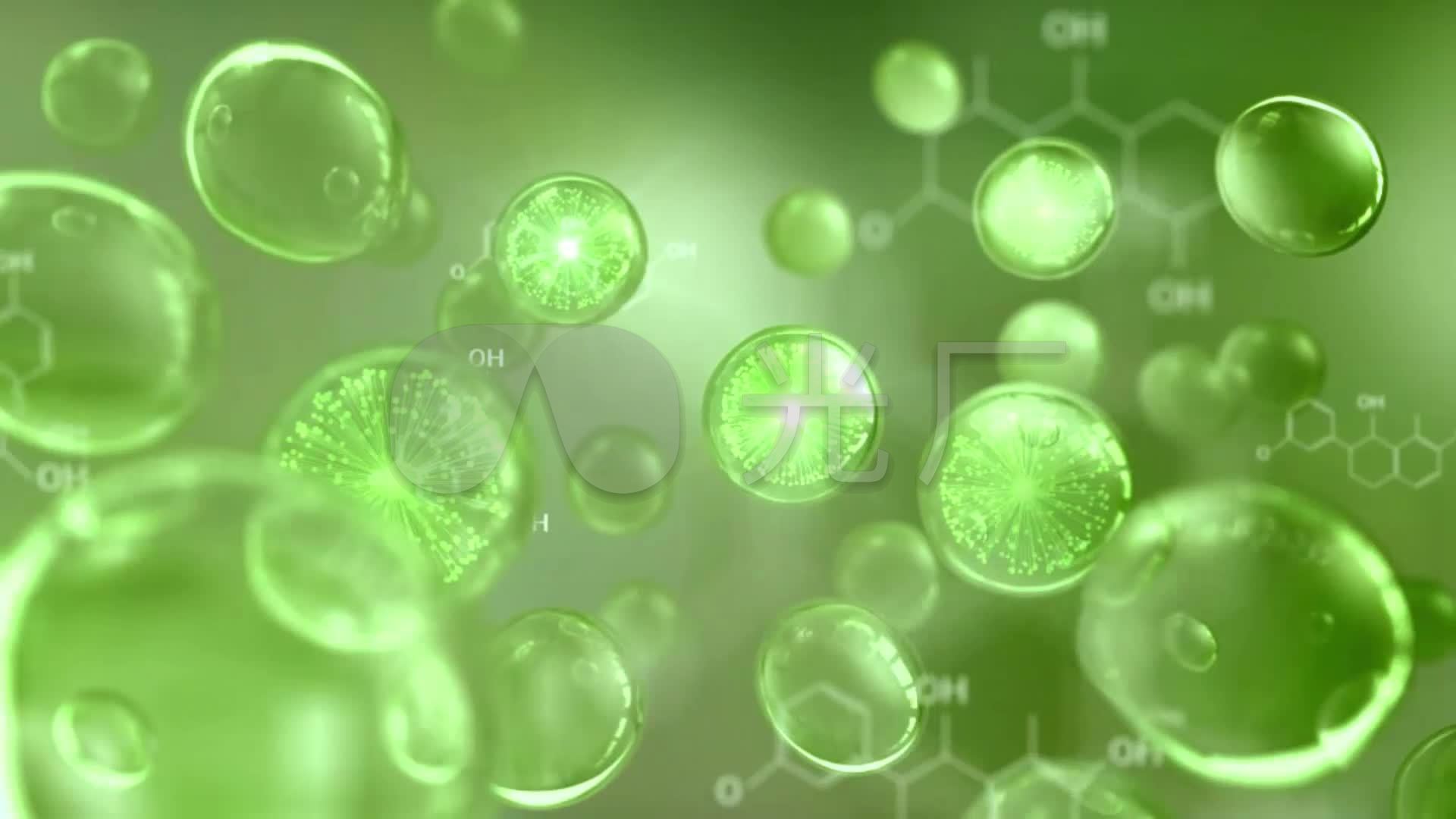 三维动画演绎细胞叶绿素天然草本精华萃取_1920x1080
