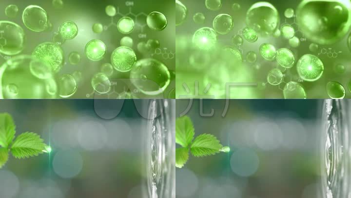 三维动画演绎细胞叶绿素天然草本精华萃取