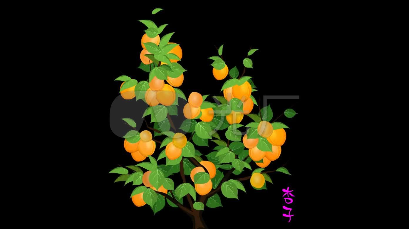 卡通树上成熟的杏子植物可抠像素材