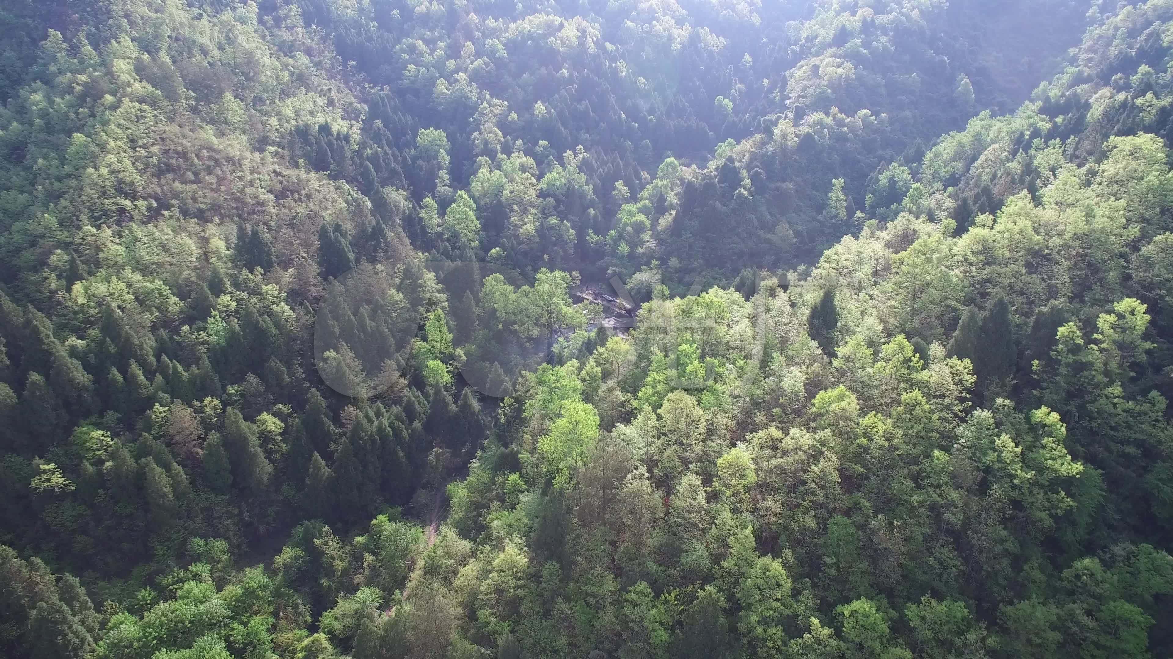 大山森林航拍4k素材
