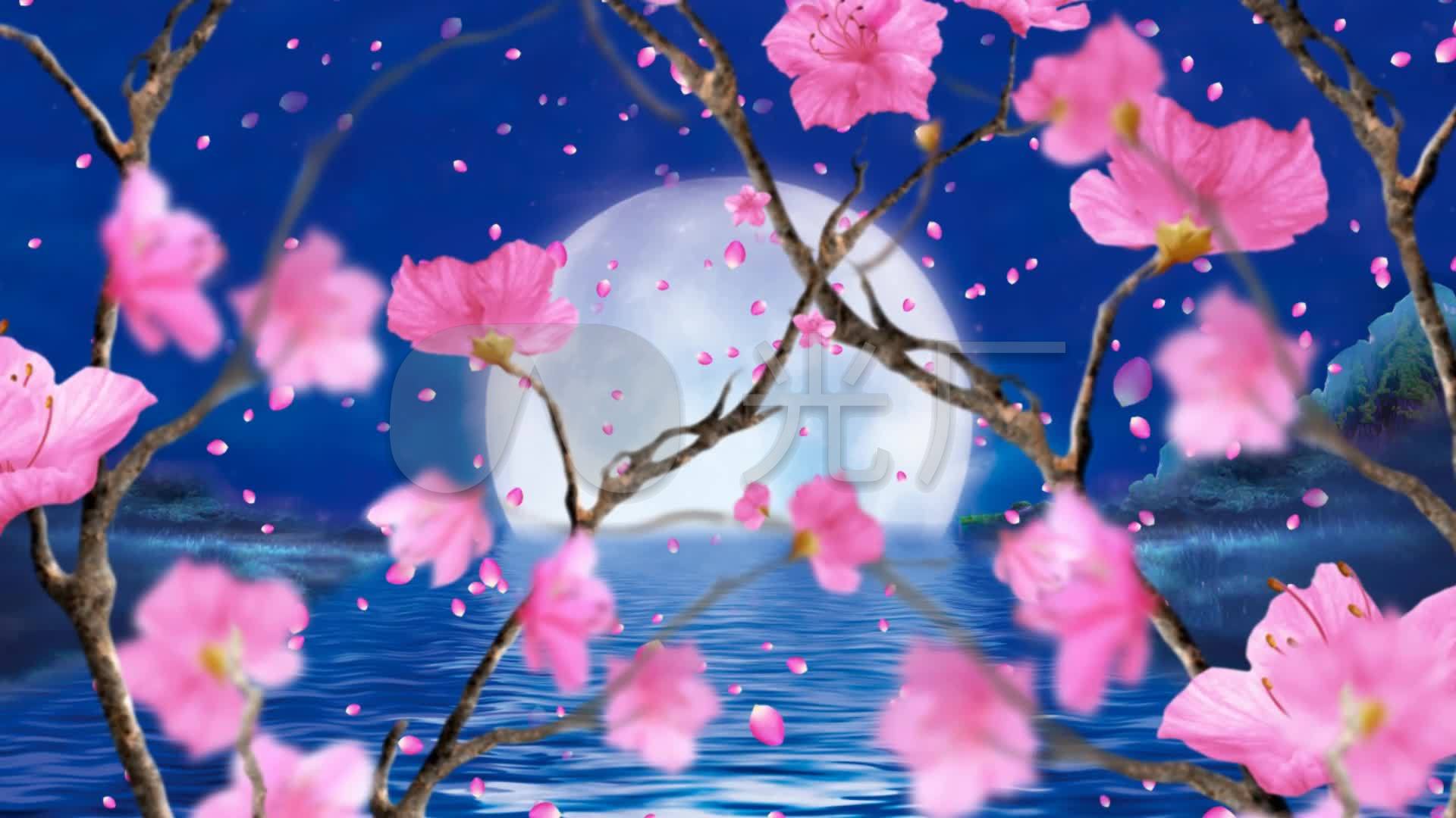 视频素材 舞台背景 中国风背景 女儿情桃花 来自视频原始文件或预览