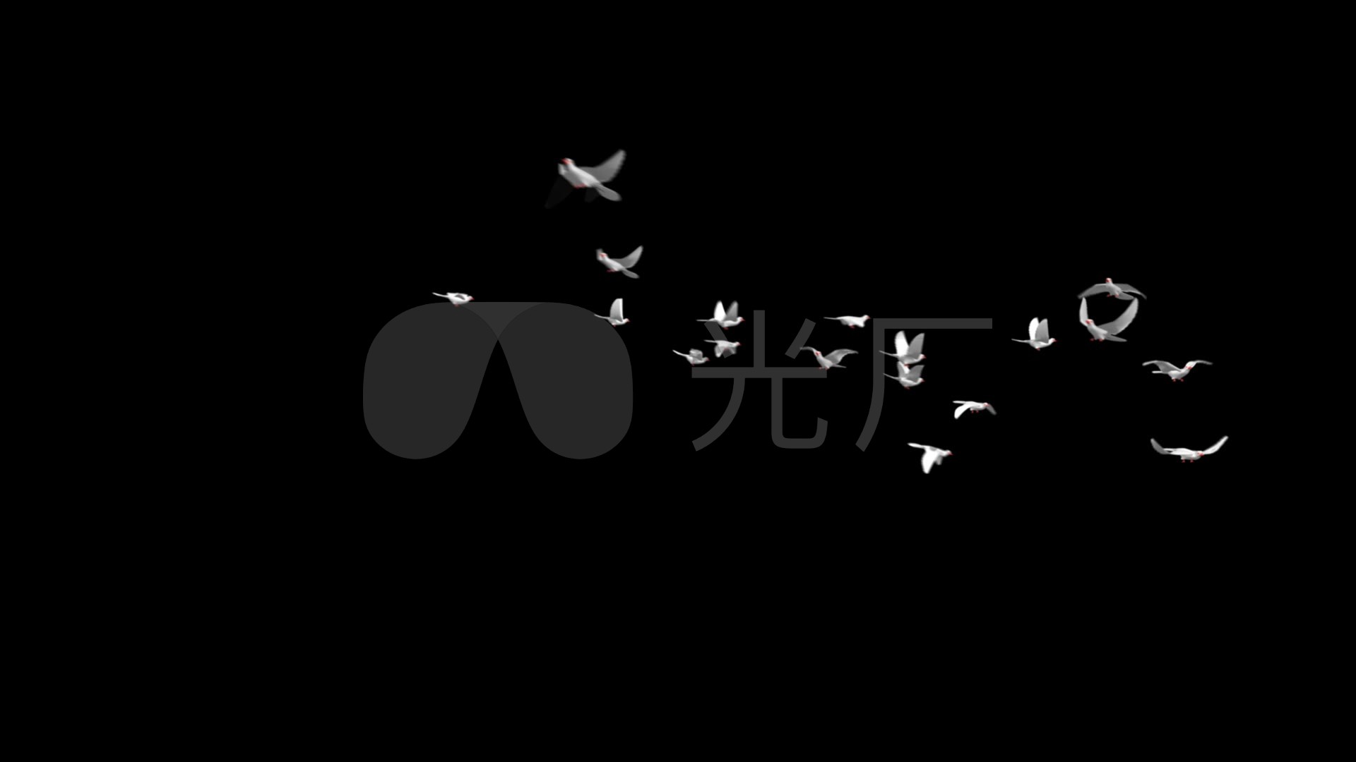 鸽子飞过群鸽飞翔白鸽起飞齐飞_1920x1080_高清视频素材下载(编号