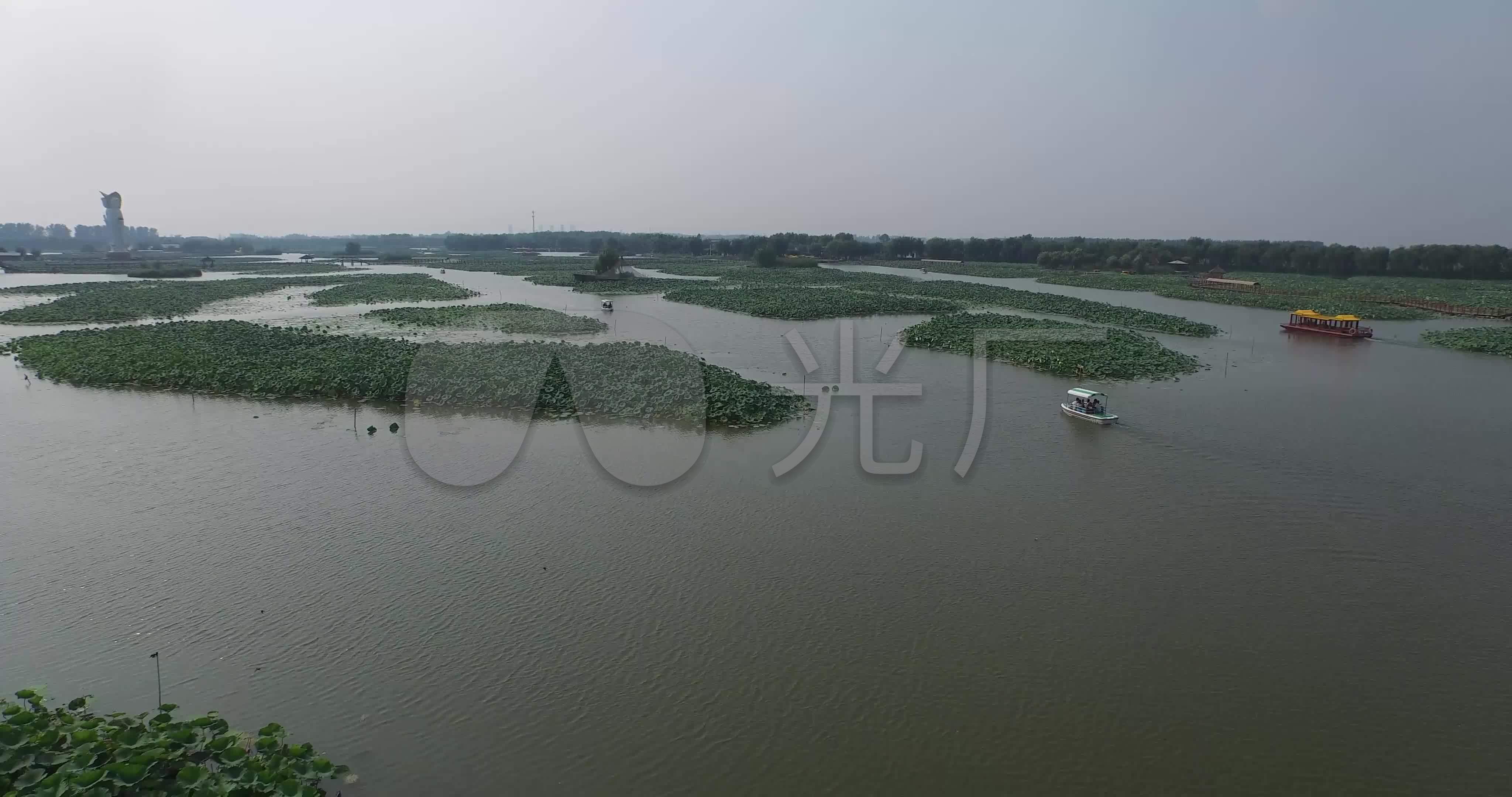 河北白洋淀鸳鸯岛4k_4096x2160_高清视频素材下载(:)