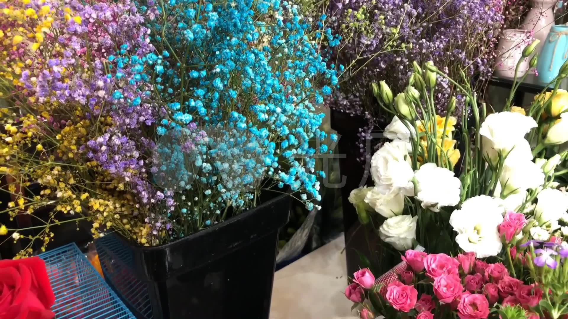 花艺花店满天星_1920x1080_高清视频素材下载(编号:)