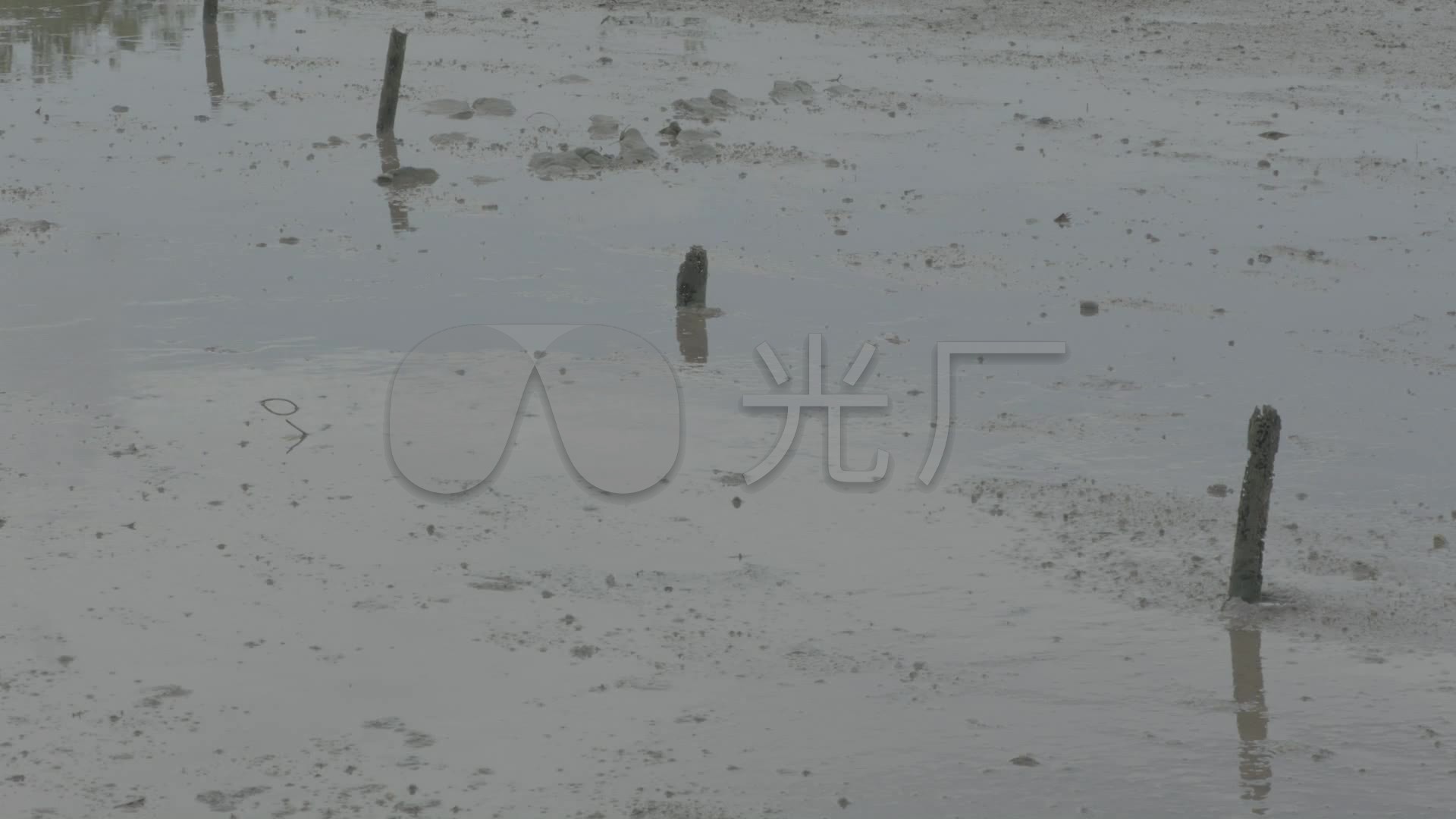 水塘养鱼池儿歌乡下水草夏季视频_1920X108加水塘水塘图片