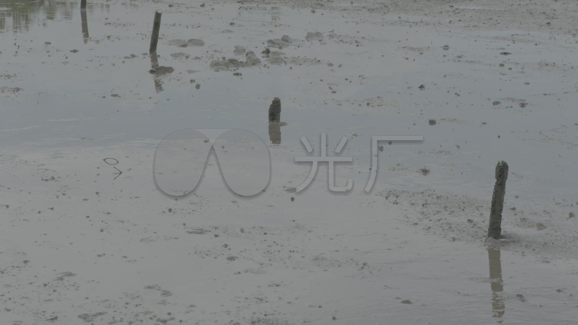 水塘养鱼池水塘乡下水草夏季松鼠_1920X108视频下载水塘图片