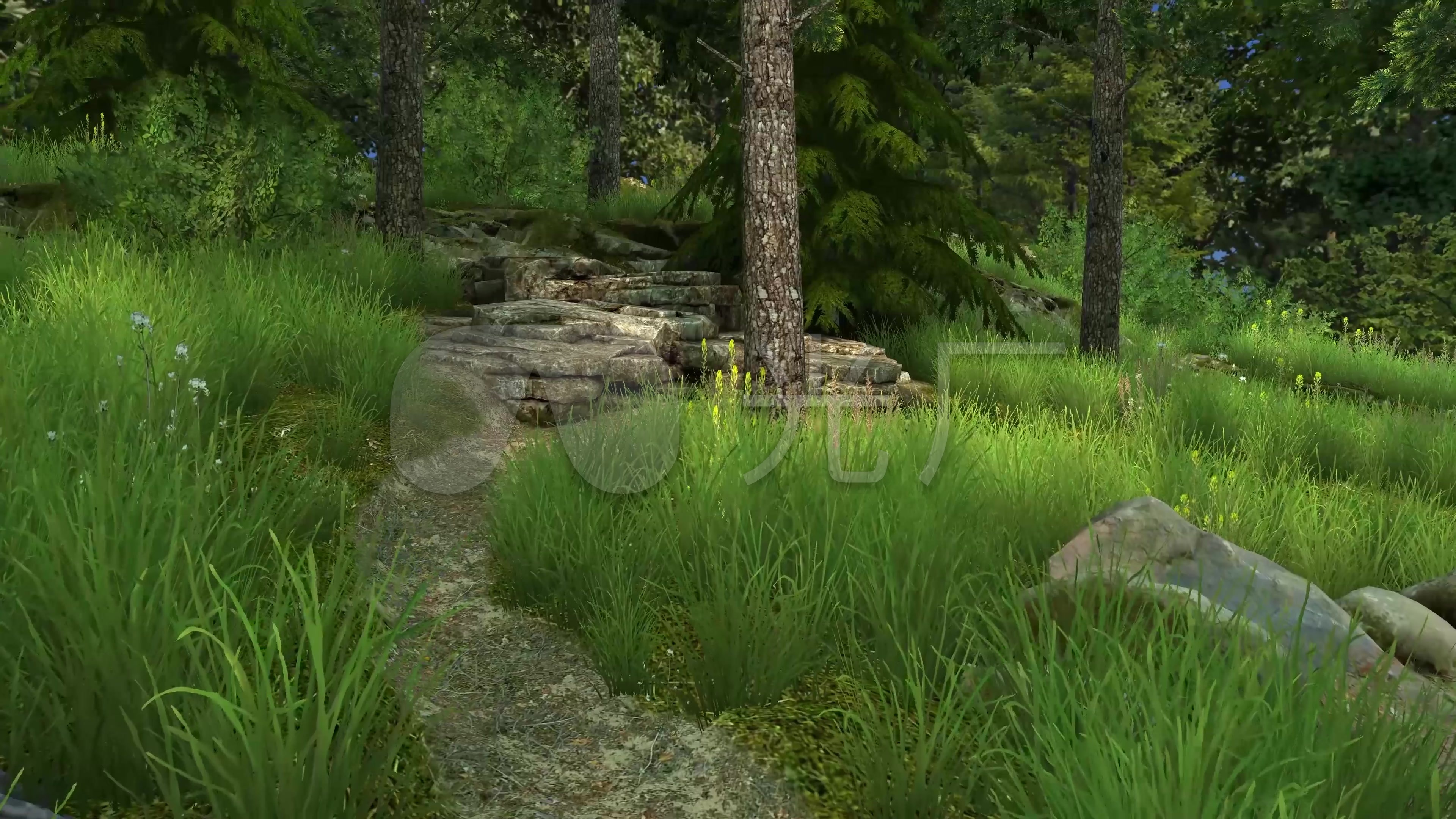 4k3d童话森林热带干雨林原始森林场景