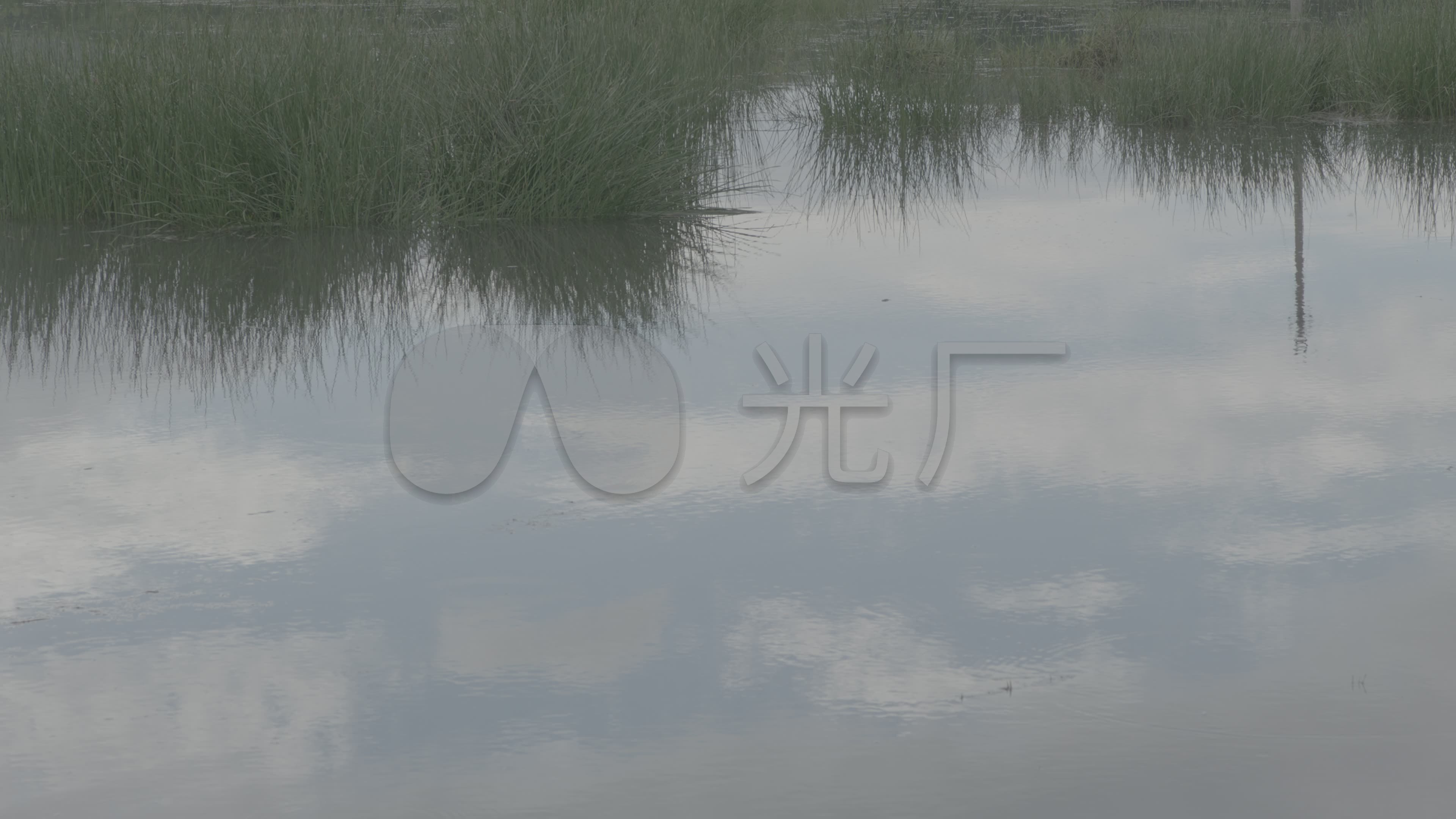水塘养鱼池水草乡下水塘夏季视频_3840X216水塘河夫子图片