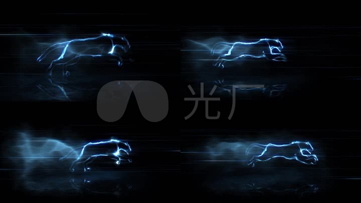 奔跑冲刺的猎豹
