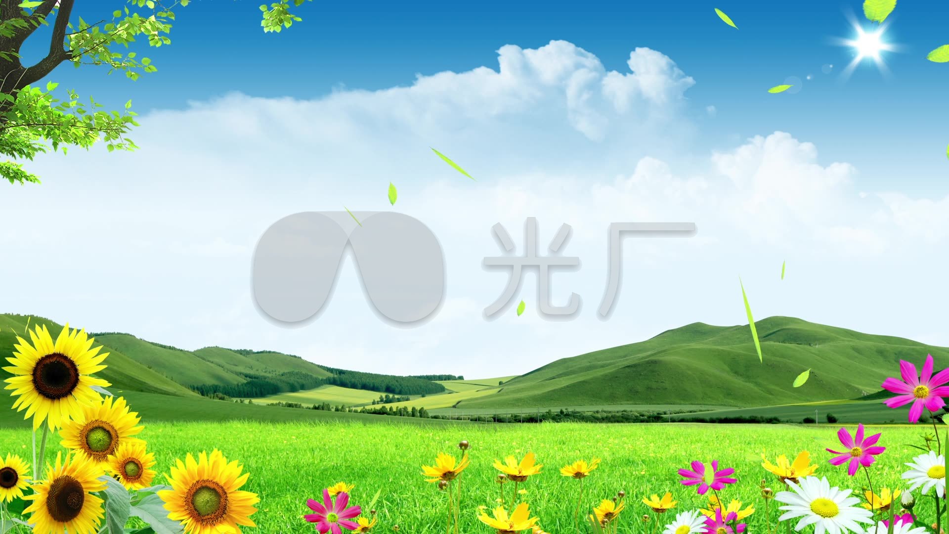 蓝天白云 晴空 小草 花朵 唯美 清新