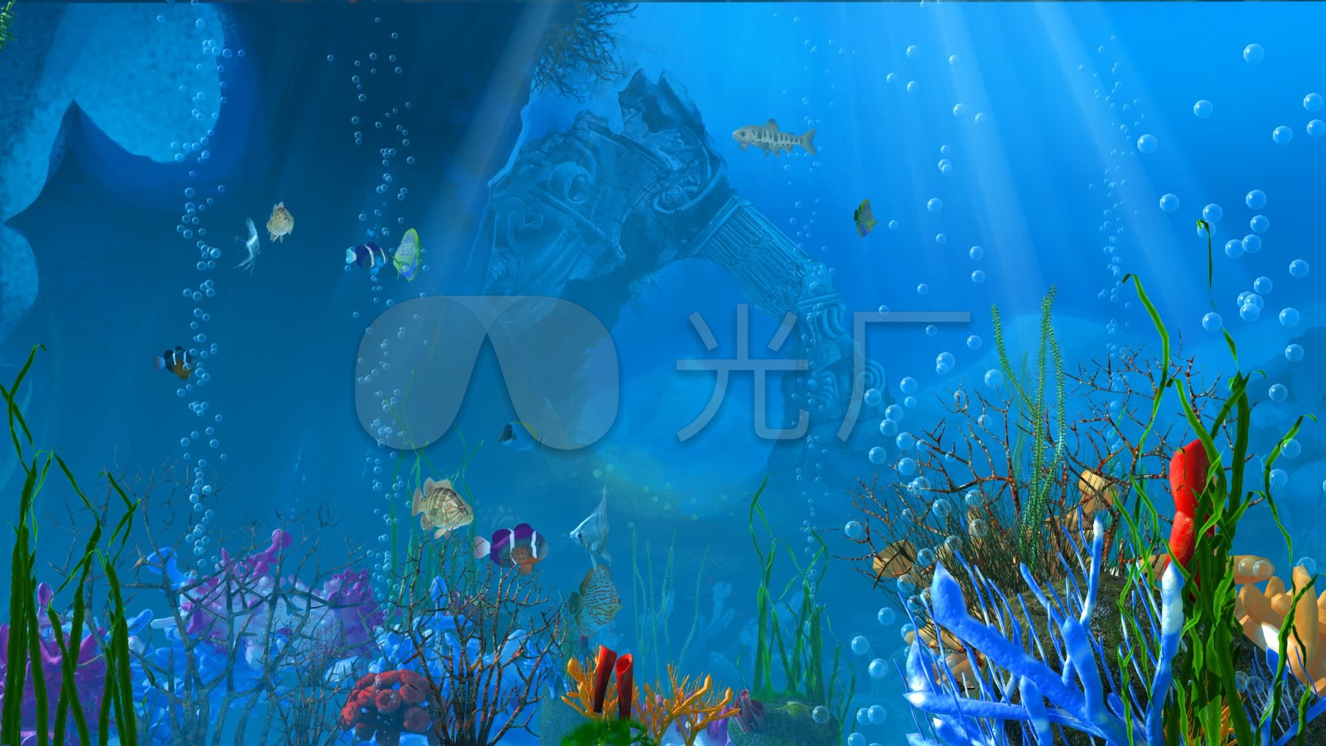 高清海底场景_1920x1080_高清视频素材下载(编号:)