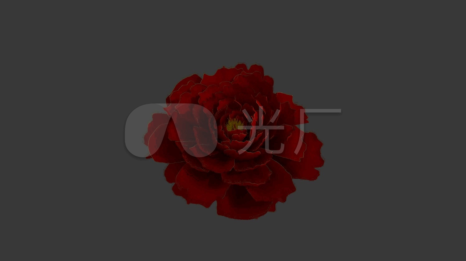 七夕牡丹花开模型