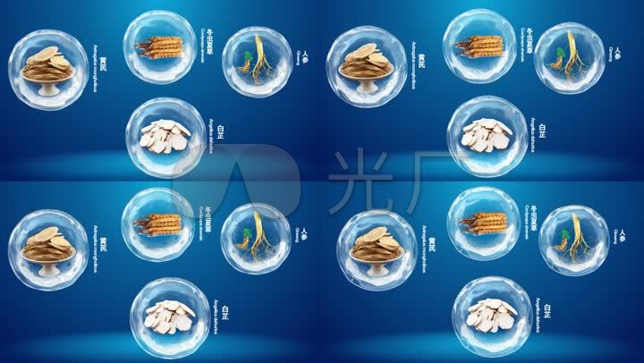 气泡中药药材成分展示