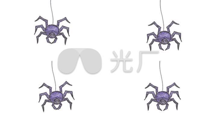 蜘蛛动物2dmg扁平化素描