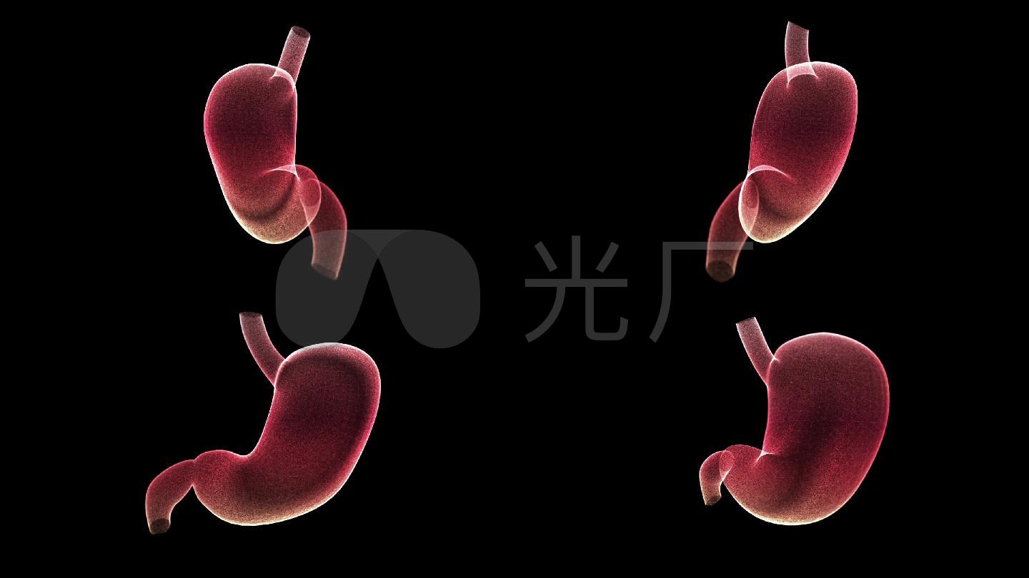 胃