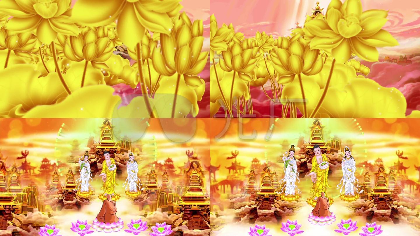 精美佛教视频段金色莲花