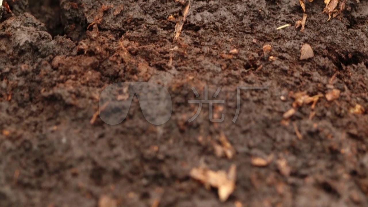 手捧泥土-采样土壤自然肥力-肥沃土地土层