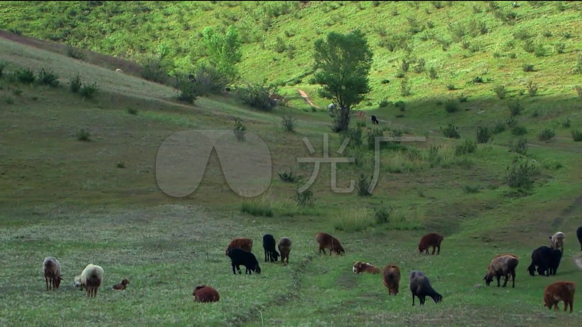 青藏高原西藏人文记录片视频素材_1920X108