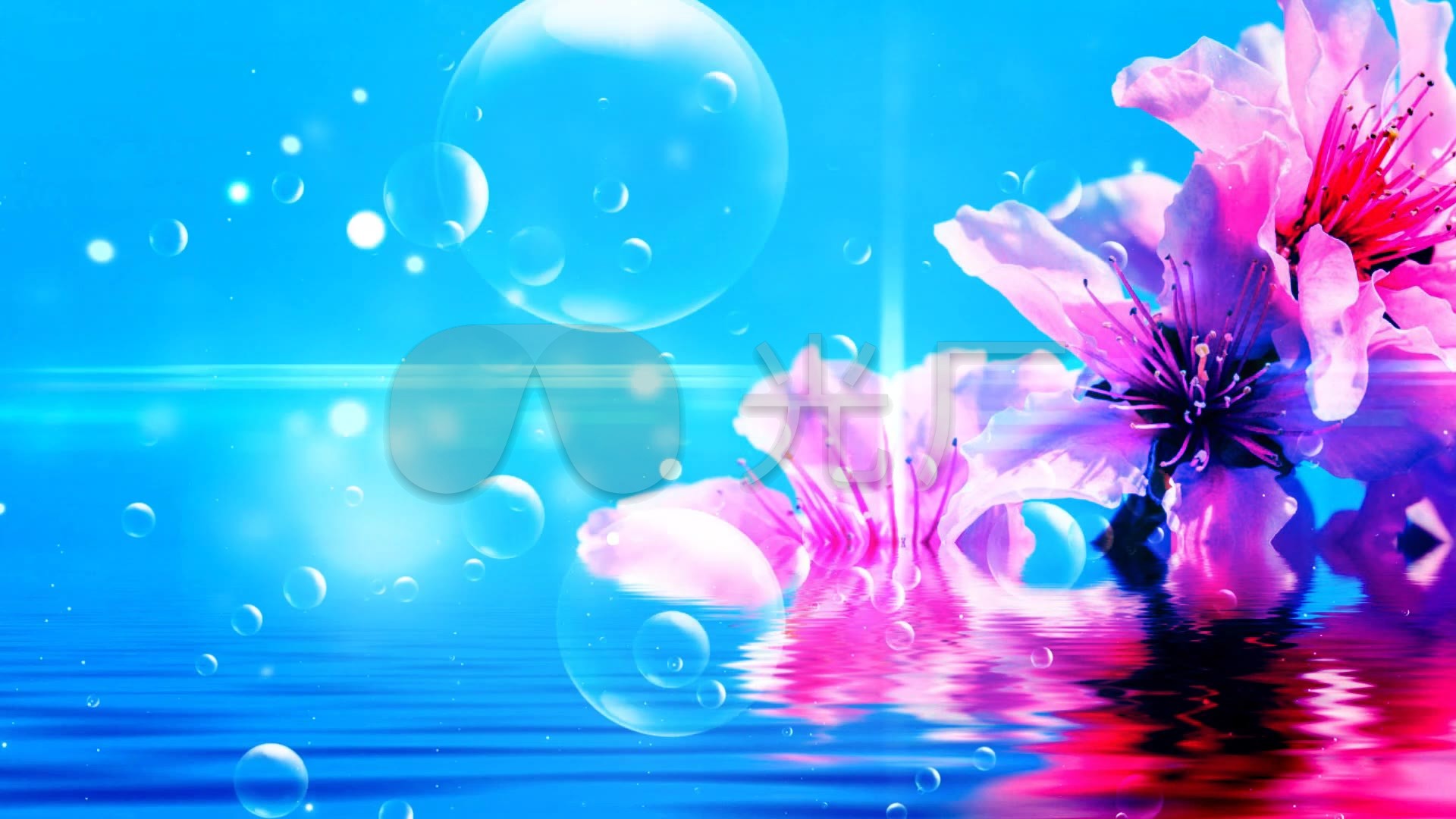 轻音乐《水中花》(笛子)