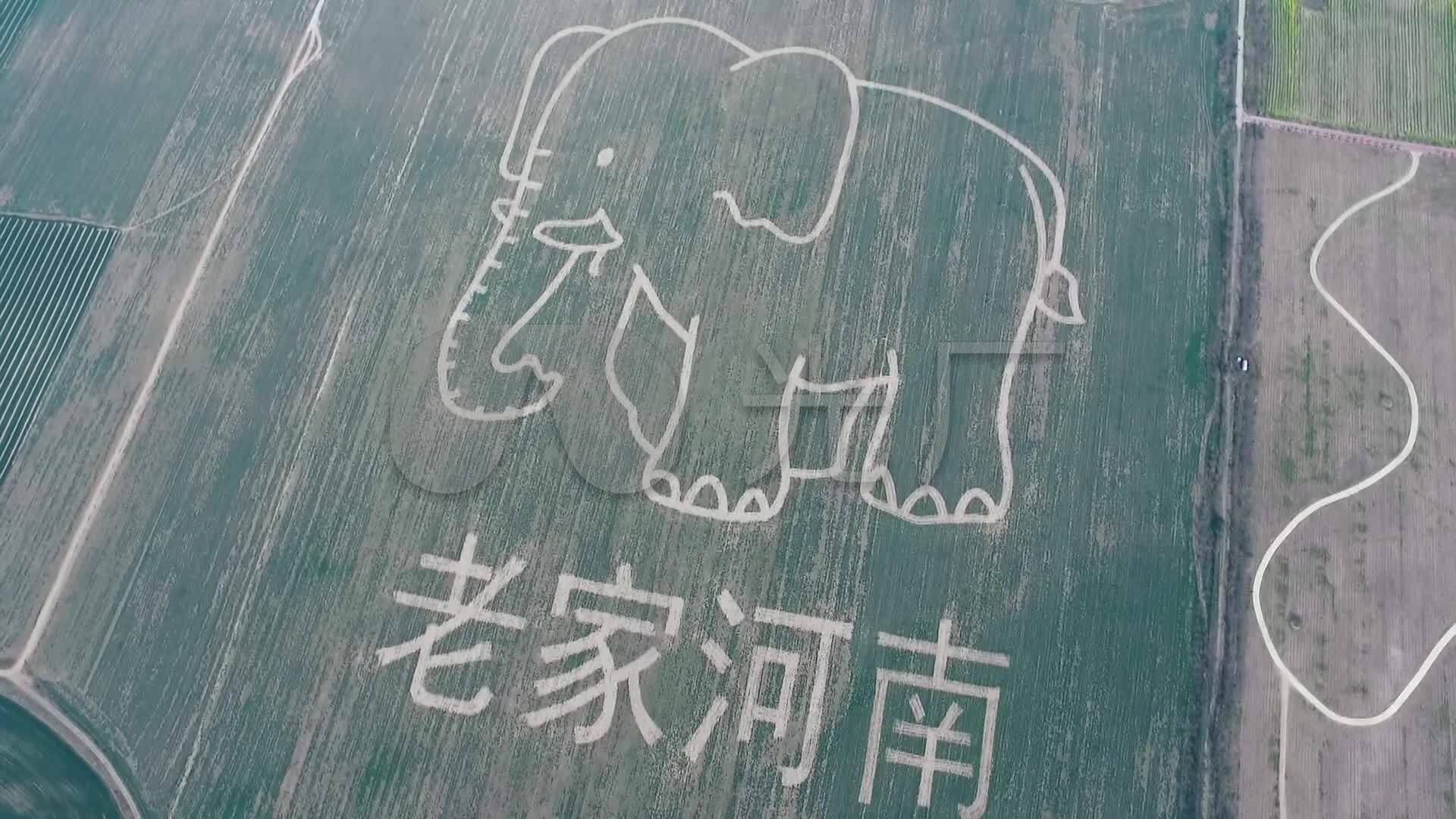 航拍老家河南_1920x1080_高清视频素材下载(编号:2841603)_实拍视频