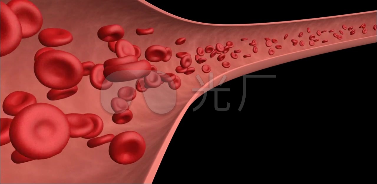 血管内红细胞流动