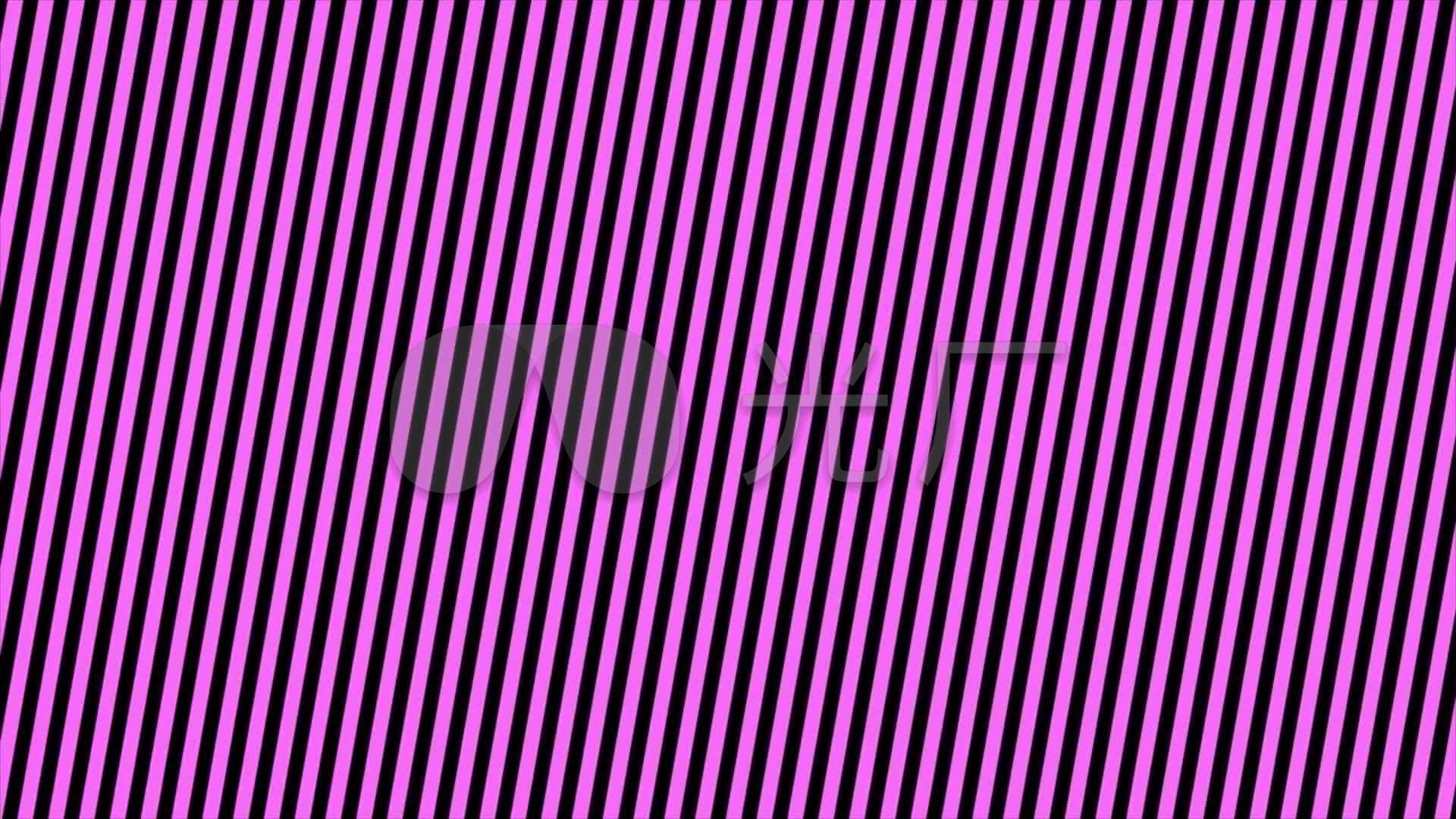 紫色粉红色线条简约条纹背景_1920x1080_高清视频素材