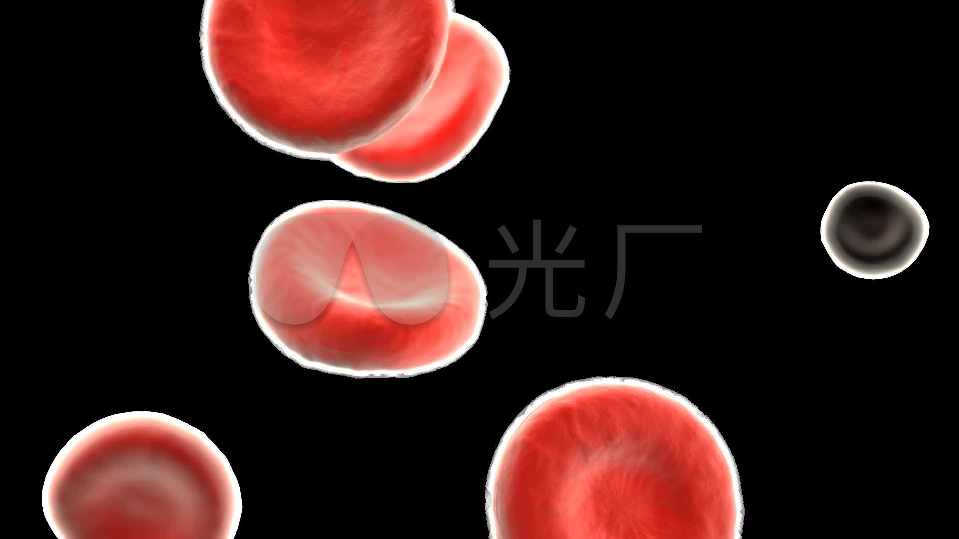 红细胞血小板_1920x1080_高清视频素材下载(编号:2863826)_影视包装