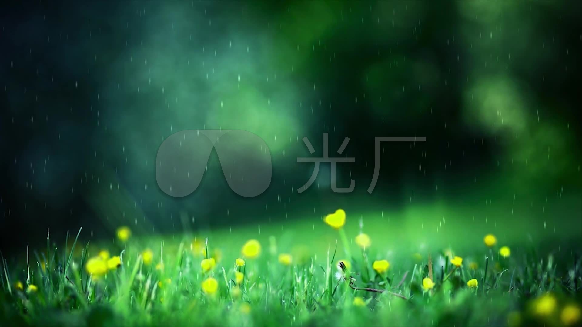 视频素材 舞台背景 配乐歌舞 且吟春雨  来自视频原始文件或预览原始