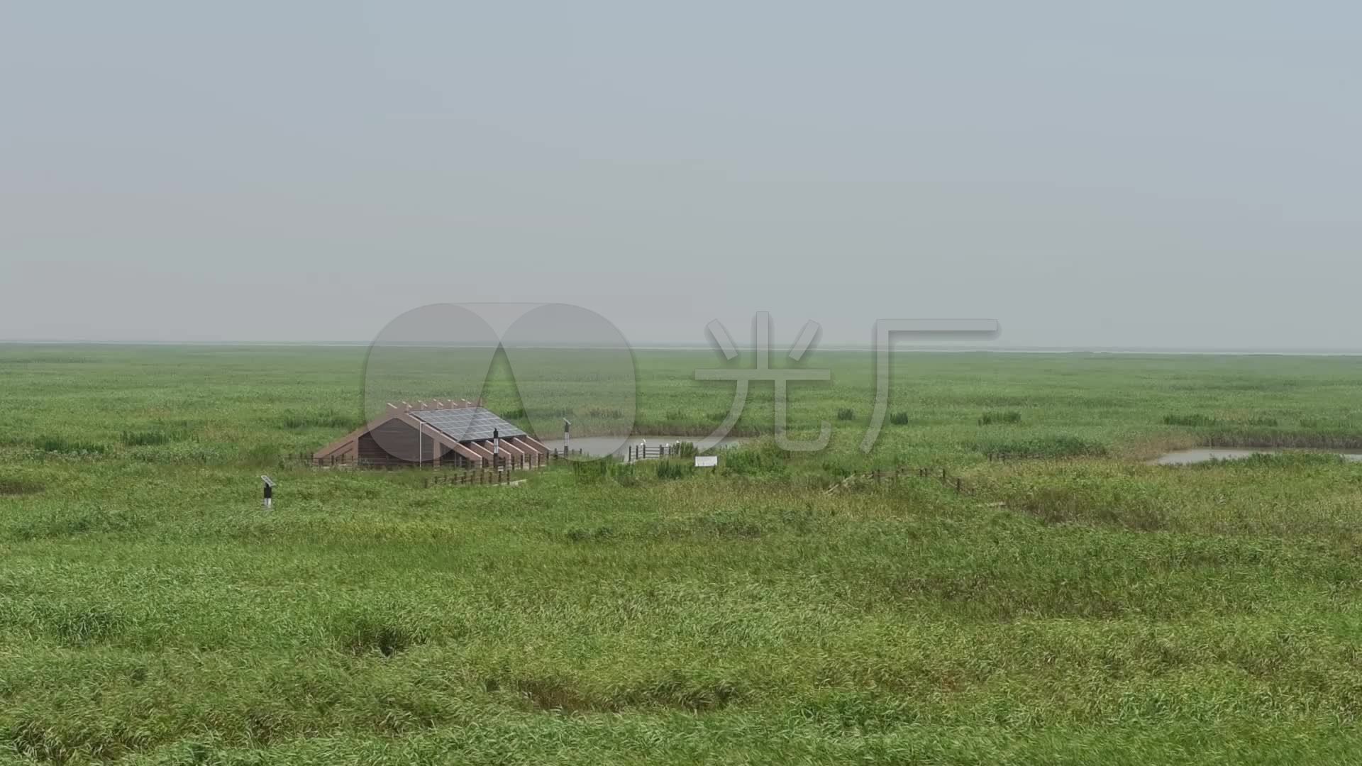 上海九段沙湿地_1920x1080_高清视频素材下载(编号:)