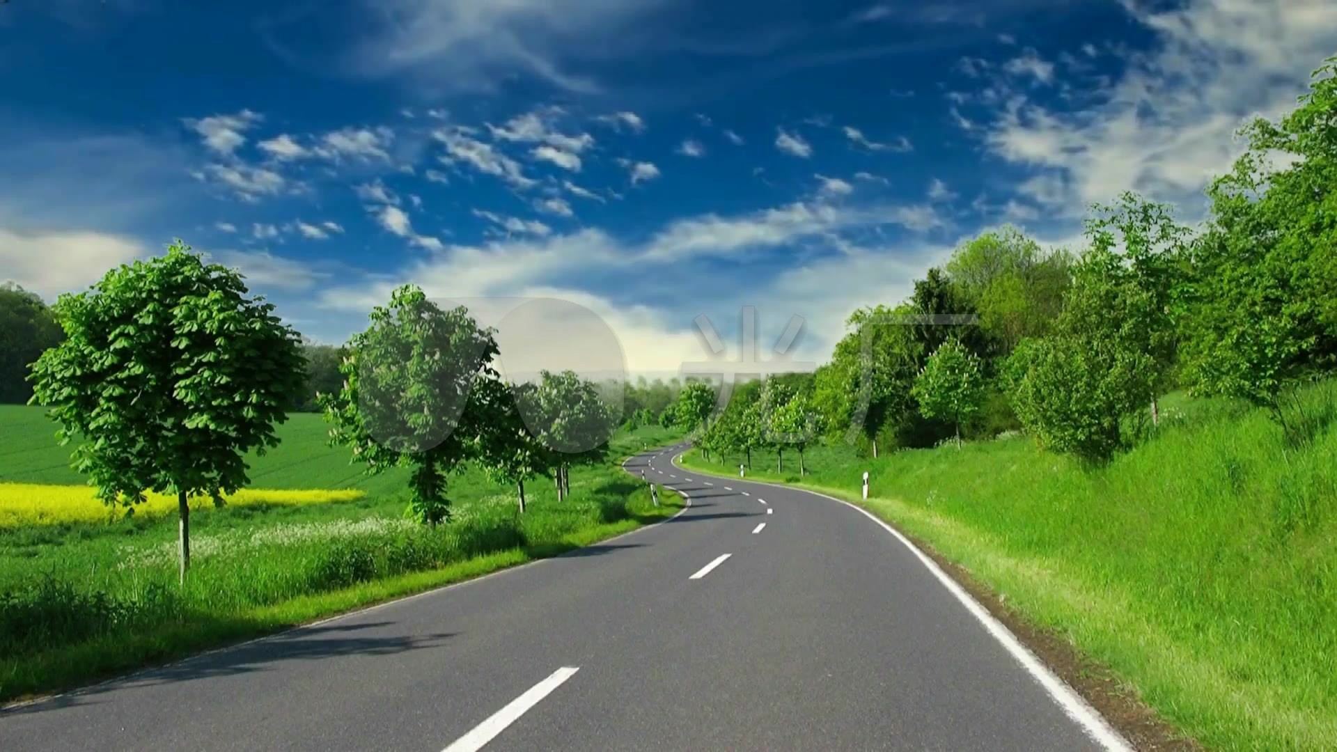 马路风景路边绿树草地蓝天白云背景_1920x1080_高清(: