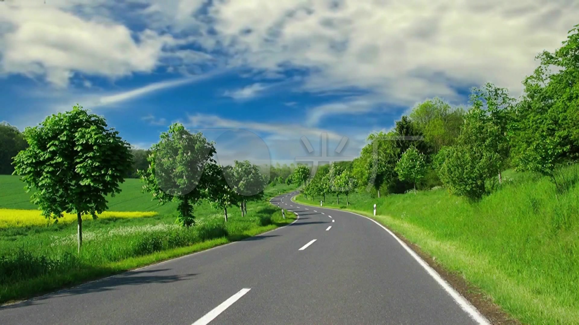 马路风景路边绿树草地蓝天白云背景_1920x1080_高清(: