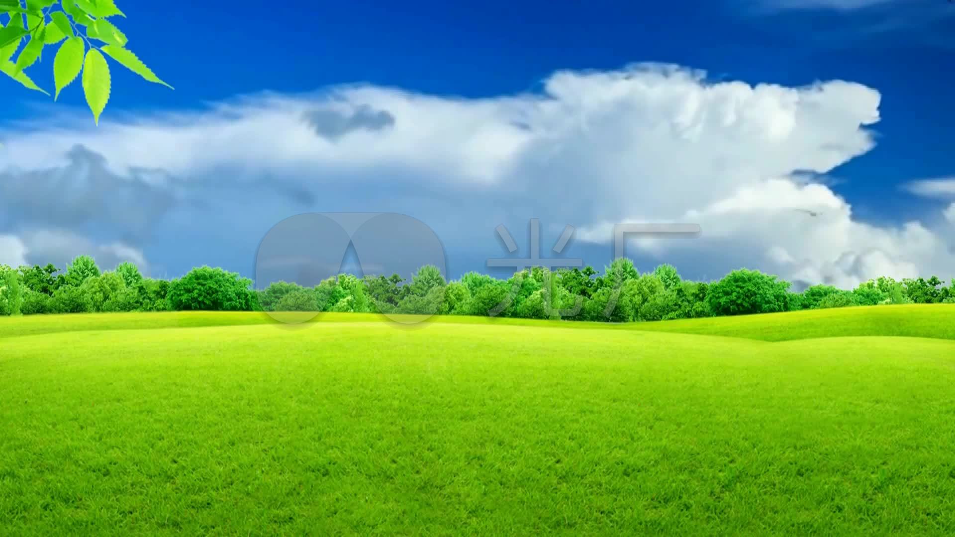 绿色草地蓝天白云背景