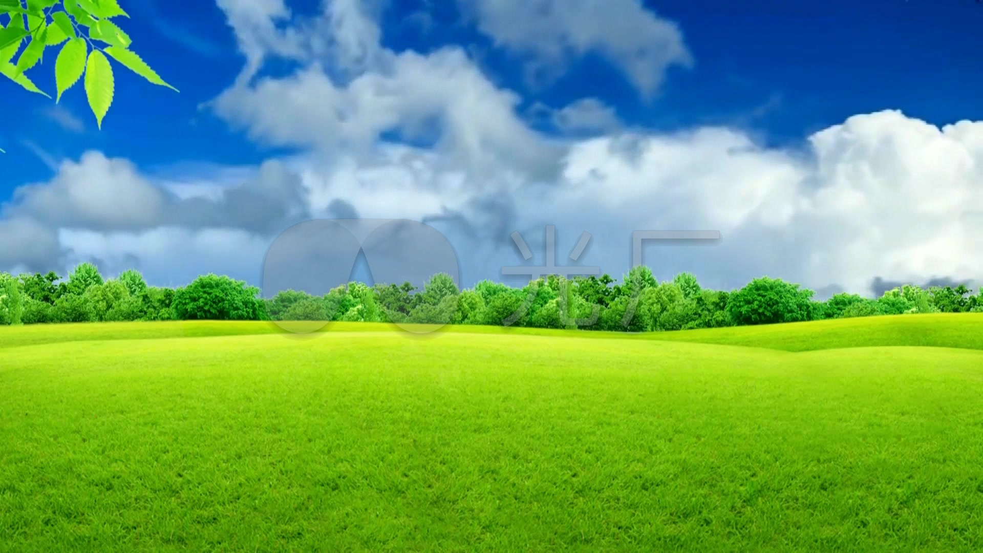 1920*1080绿色壁纸高清,高清壁纸1920x1080绿色 绿色草地蓝天白云背景_1920x1080_高清视频素材下载