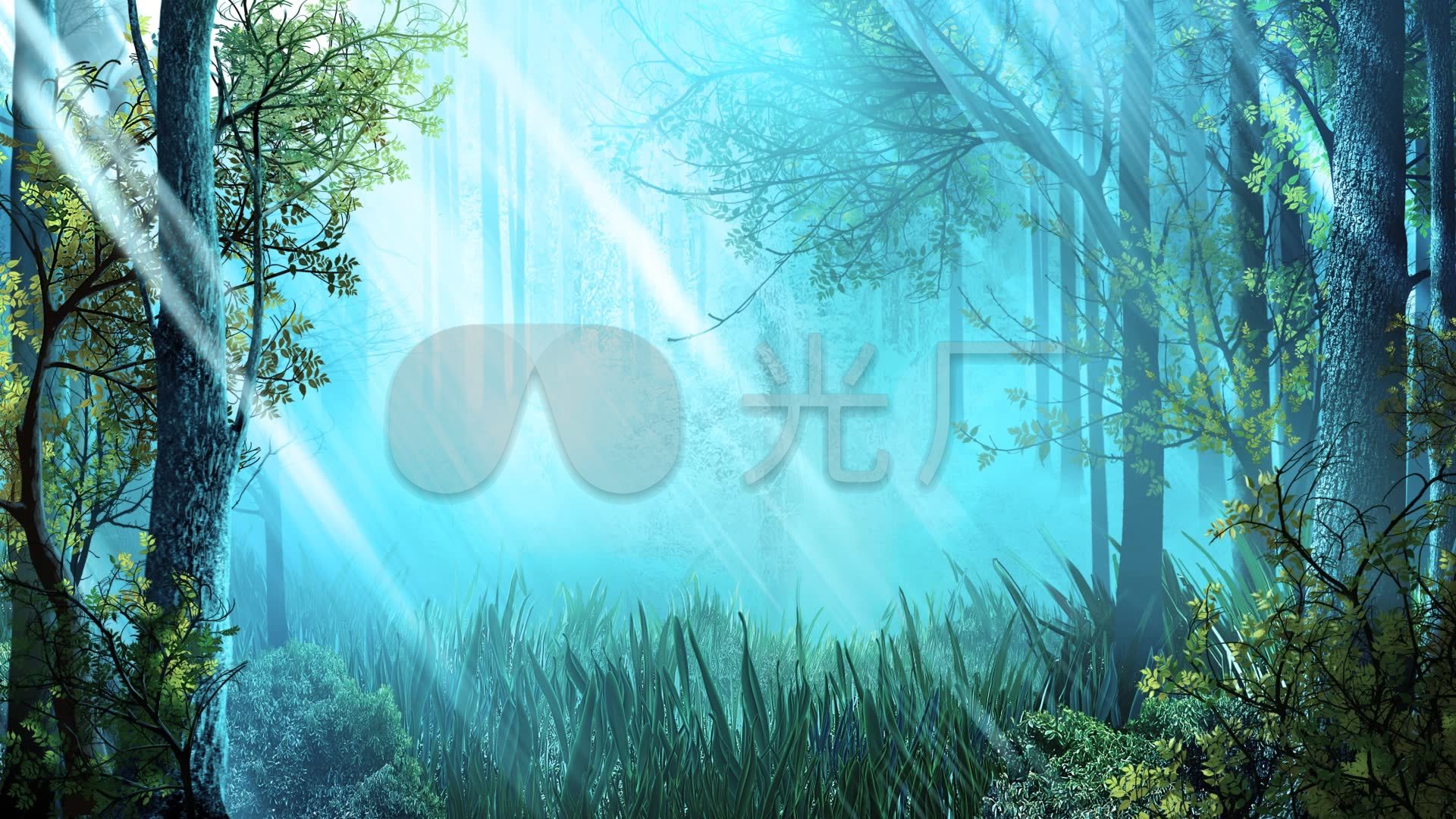 1920x1080高清壁纸森林,1920x1080高清壁纸绿色 森林光线动态壁纸背景视频_1920x1080_高清视频素材