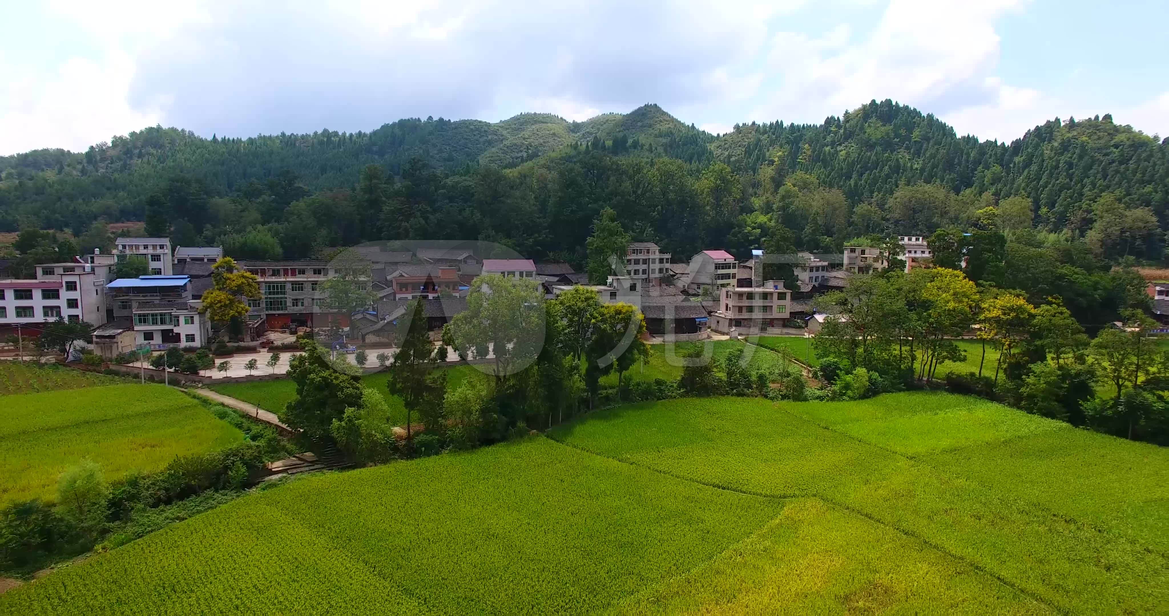 4k航拍岑巩县大有镇中木召稻田54秒
