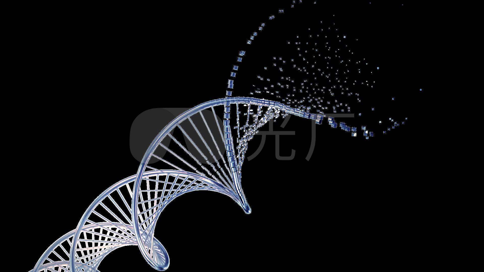 双螺旋dna链生长透明通道