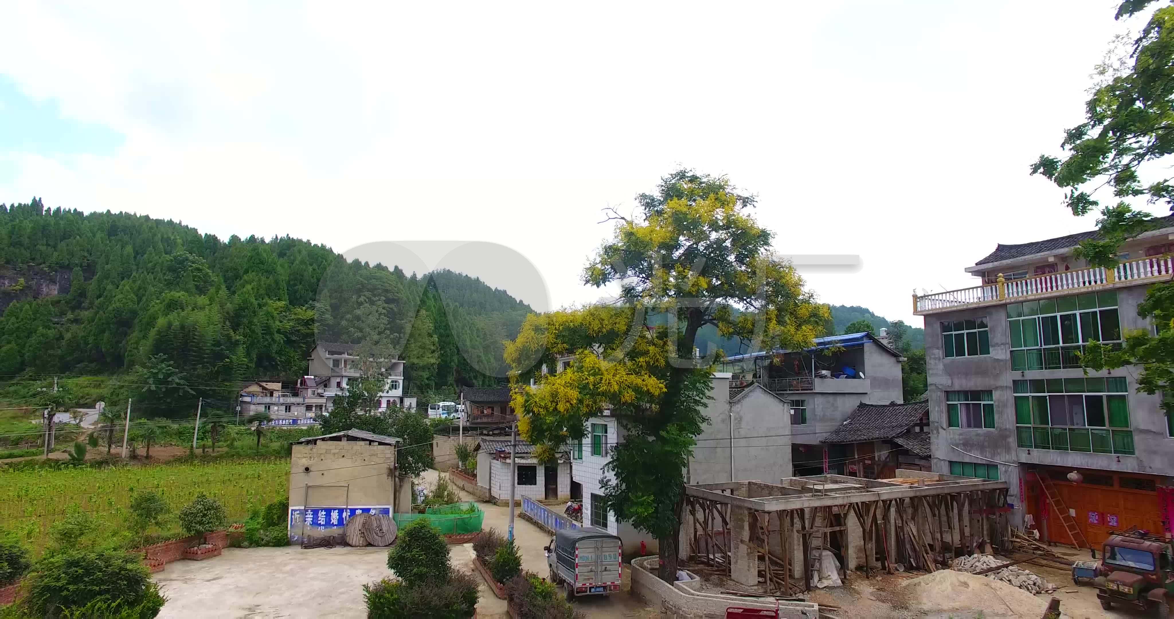 4k航拍岑巩县大有镇中木召古树14秒_4096x2160_高清视频素材下载(编号