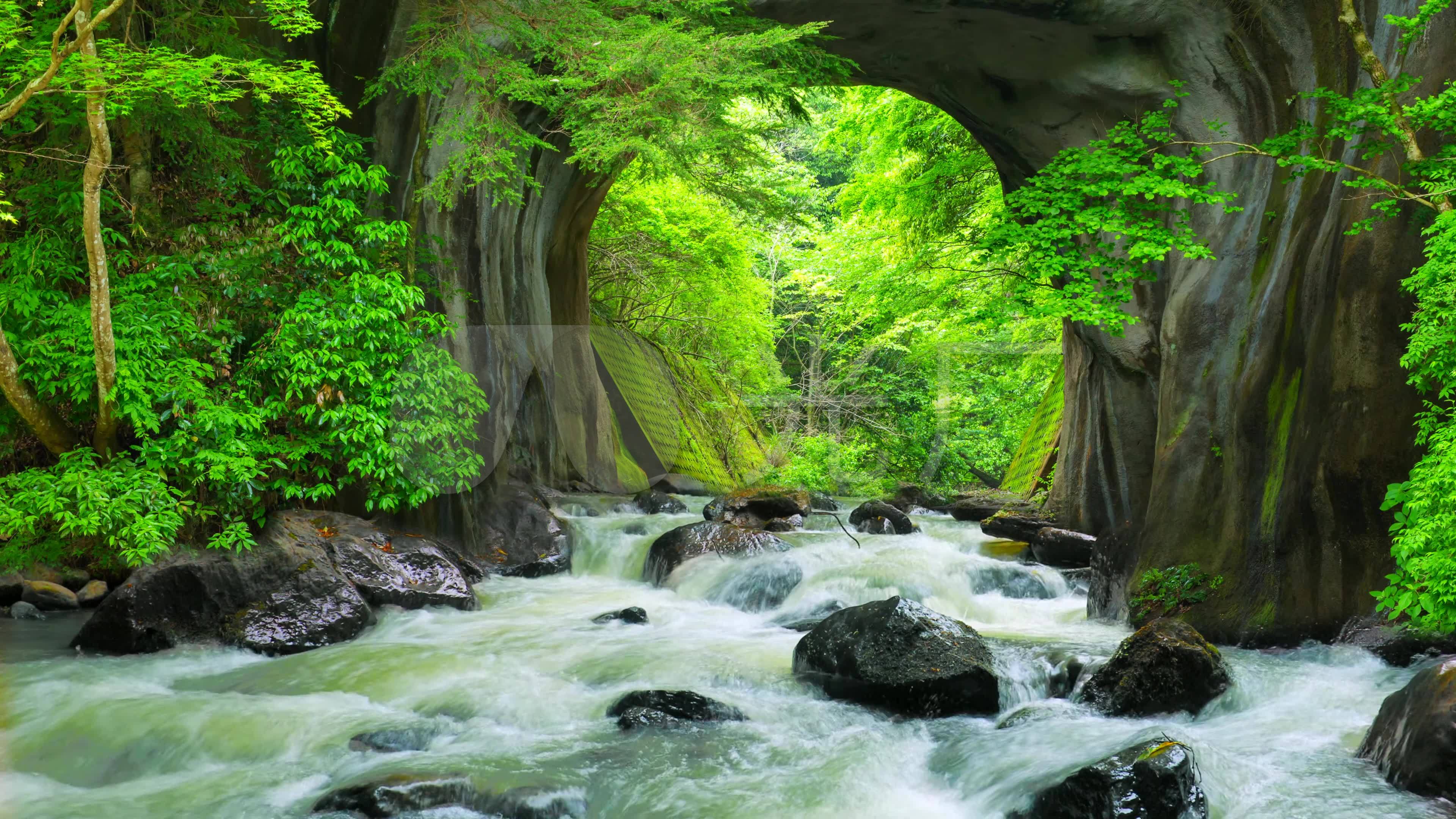 森林溪流水潭美景