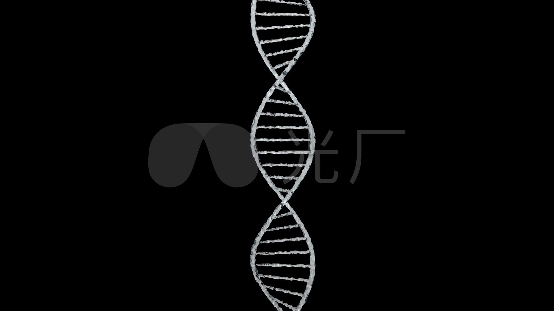 基因链dna06