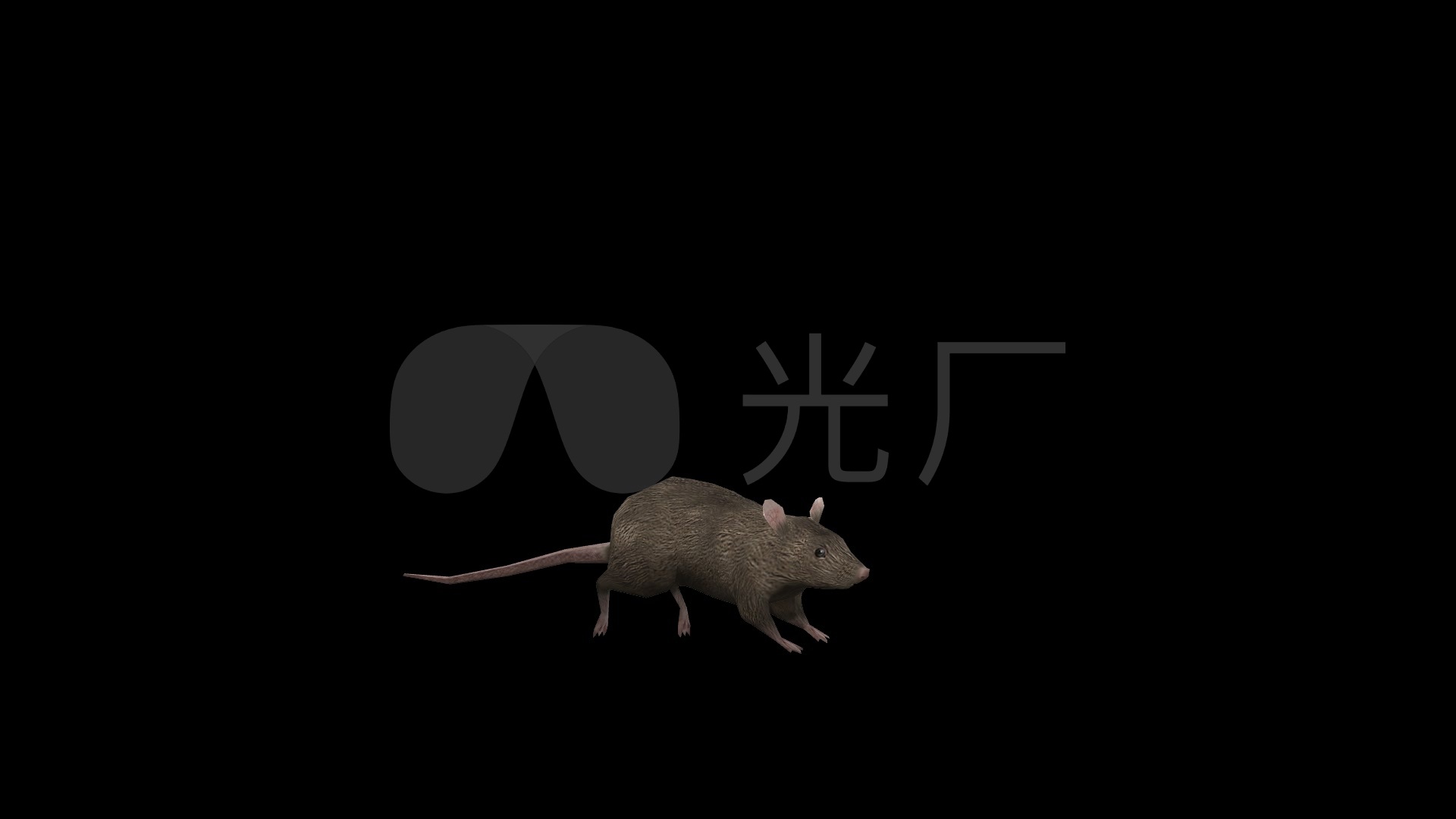 老鼠奔跑逃窜动画带通道