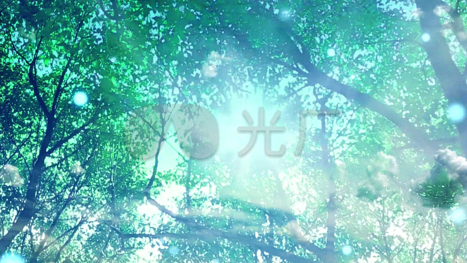 《好大一棵树》歌曲 田震