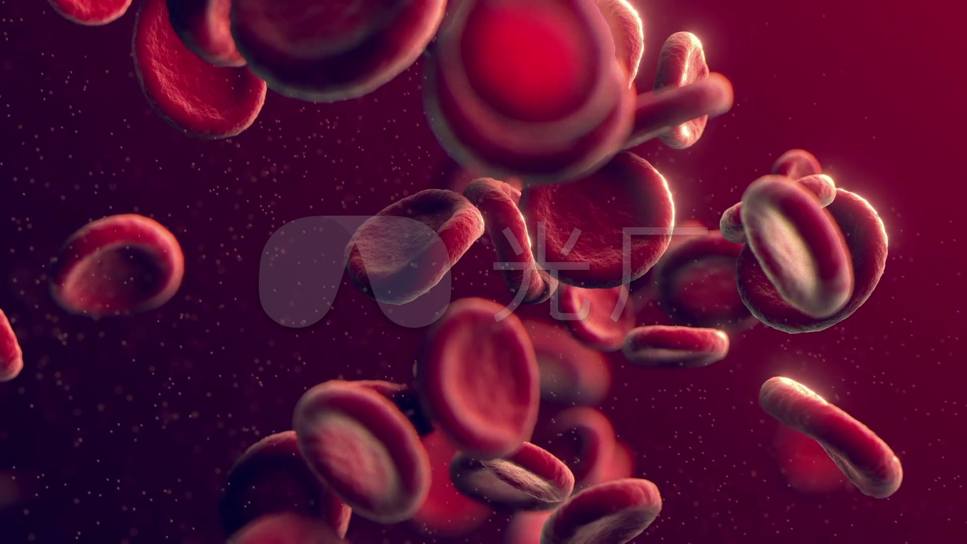 医疗医学细胞红细胞血细胞素材_1920x1080_高清视频素材下载(编号