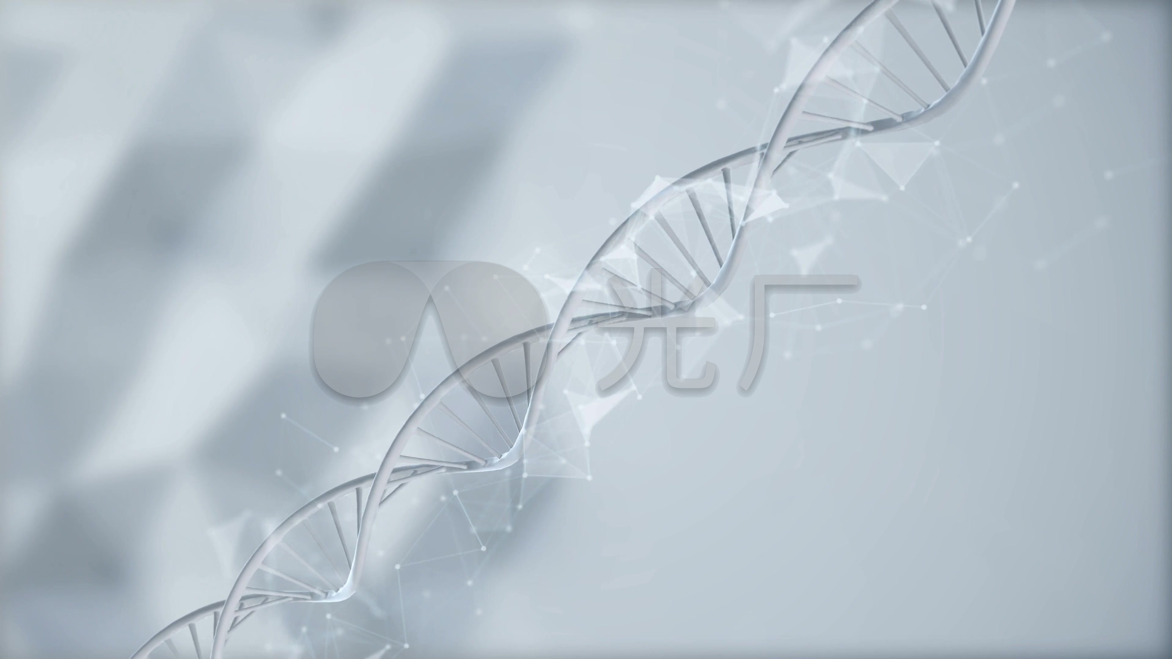 生物学生物技术染色体