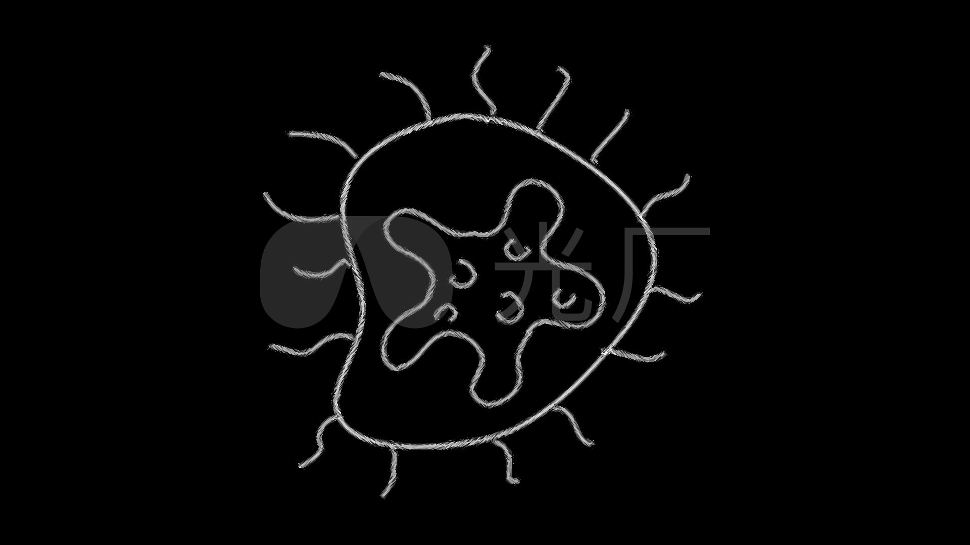 卡通细胞细胞壁卡通微生物_1920x1080_高清视频素材