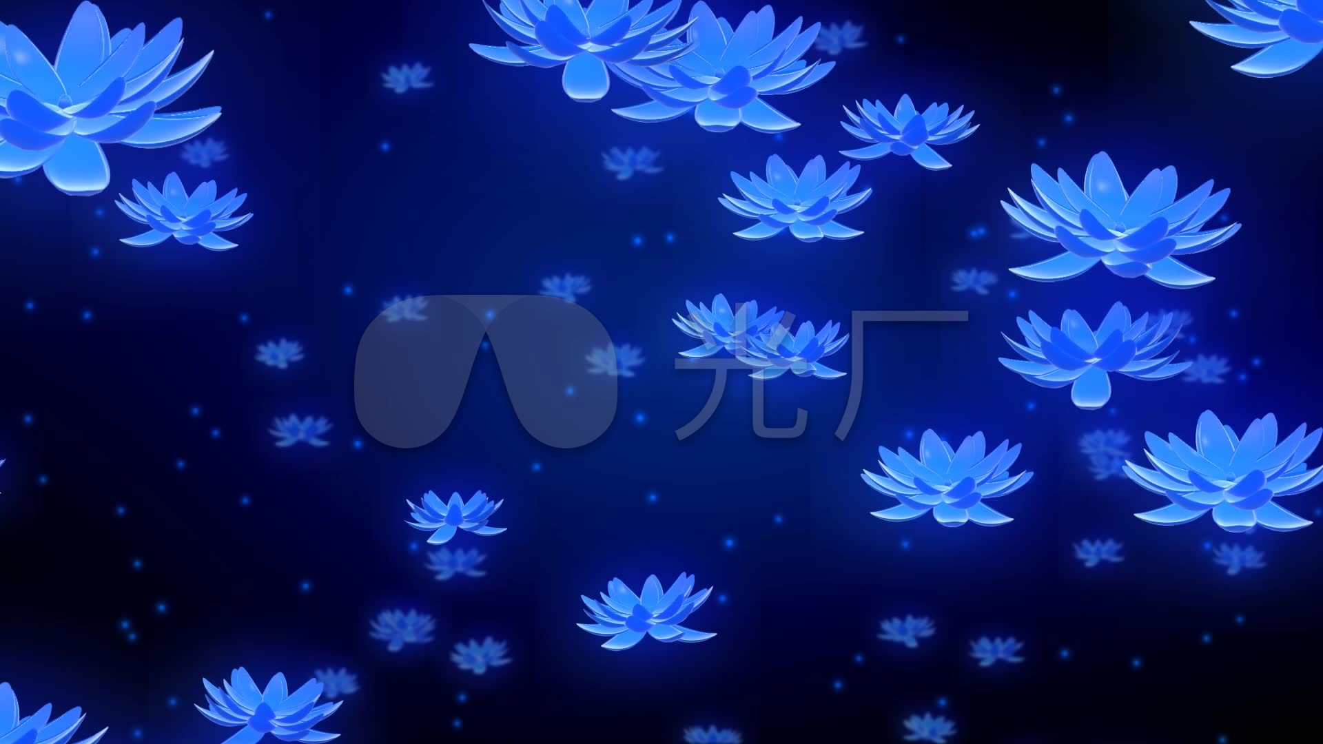 蓝莲花_1920x1080_高清视频素材下载(编号:2919490)