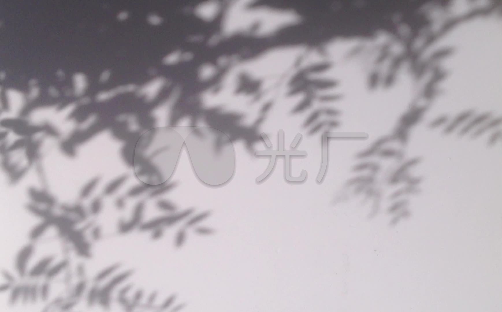 墙面树影婆娑_1738x1080_高清视频素材下载(编号:)