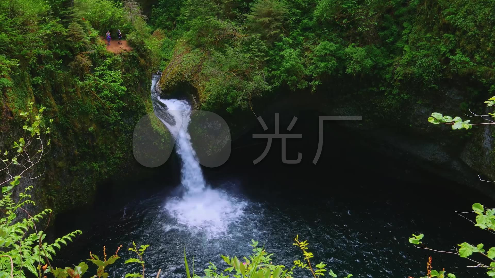 瀑布水流大自然森林树绿色